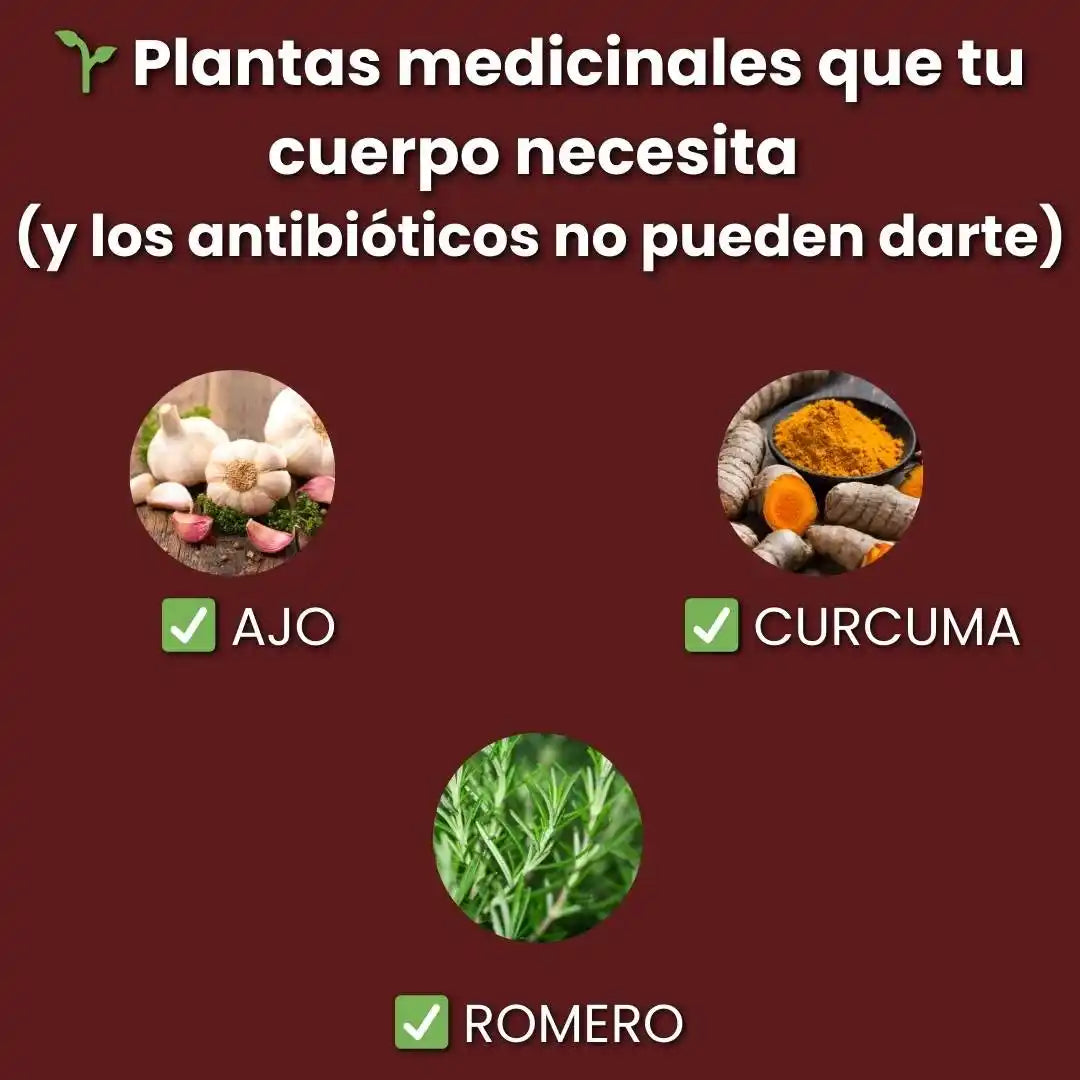 Circlen™ - Limpia Arterias